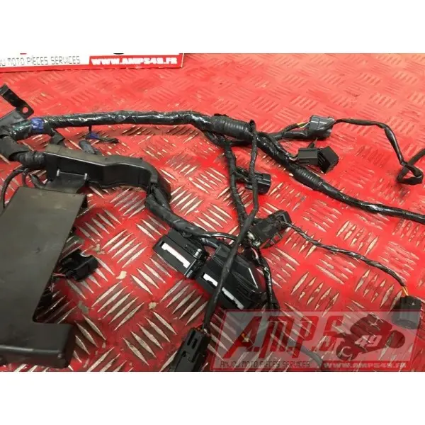 Faisceau électrique principale 