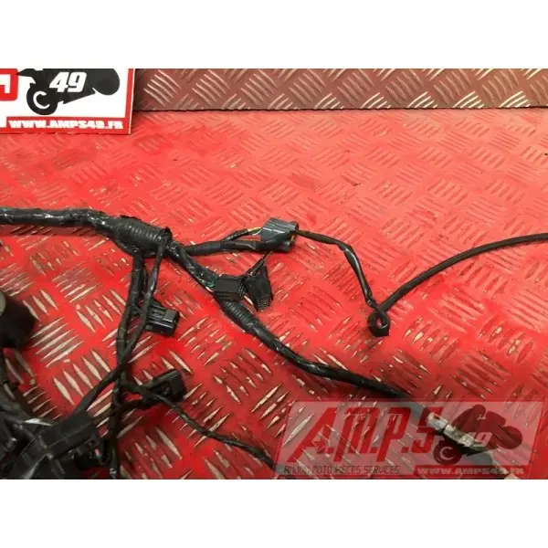 Faisceau électrique principale 