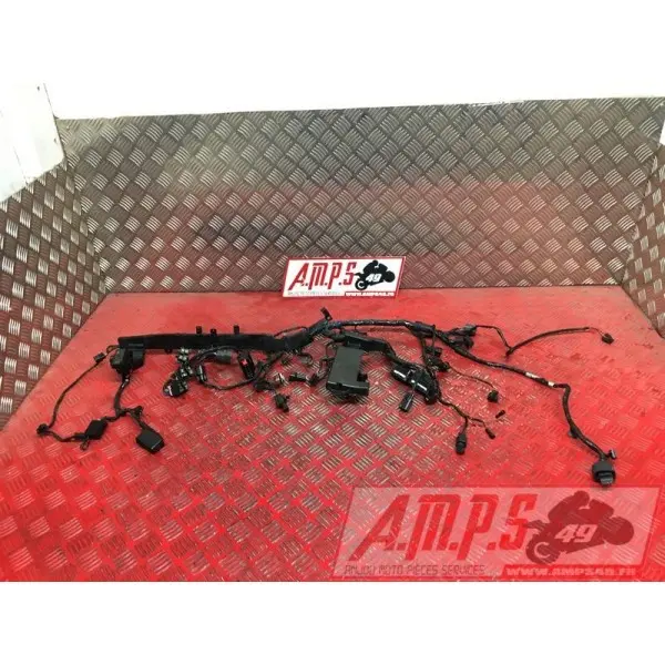 Faisceau électrique principale 