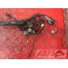 Faisceau électrique principaleZX10R07FG-130-DQB0-B2367237used