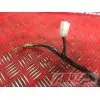 Cable de masseMT0913CZ-610-RAB0-B5368079used