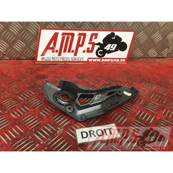 Cache plastique sur platine droitZ65017EN-974-VGH0-D1369304used