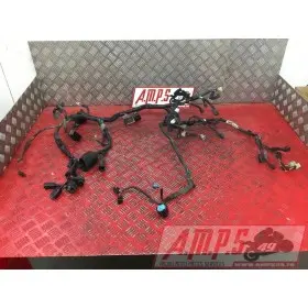 Faisceau électrique principale Kawaski Z650 2017 à 2019Z65017EN-974-VGH0-D1369317used
