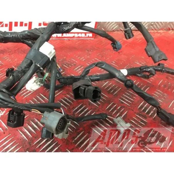 Faisceau électrique principale Kawaski Z650 2017 à 2019Z65017EN-974-VGH0-D1369317used