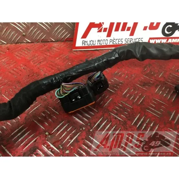 Faisceau électrique principale Kawaski Z650 2017 à 2019Z65017EN-974-VGH0-D1369317used