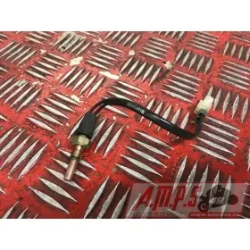 Sonde de température d'eau Ducati Multistrada 1200 S 2010 à 2012MULTI120010AS-115-WS369705used