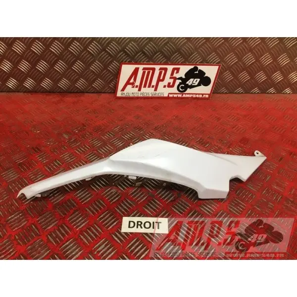 Coque arrière droiteZ65017EN-286-VGH0-D2369844used