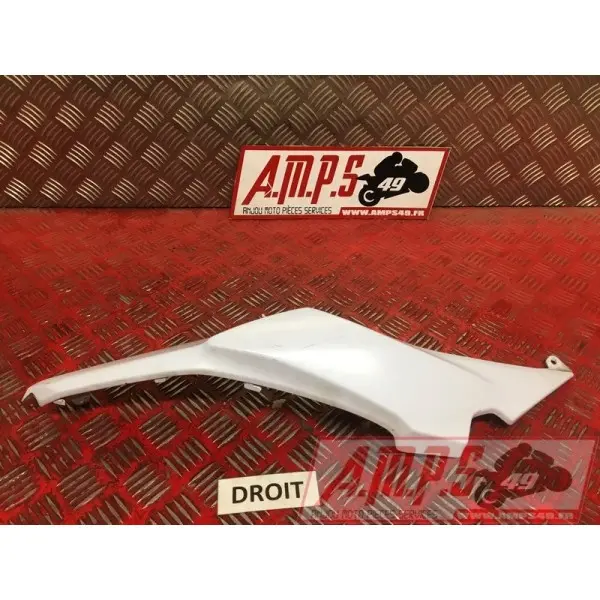 Coque arrière droiteZ65017EN-286-VGH0-D2369844used