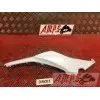 Coque arrière droiteZ65017EN-286-VGH0-D2369844used