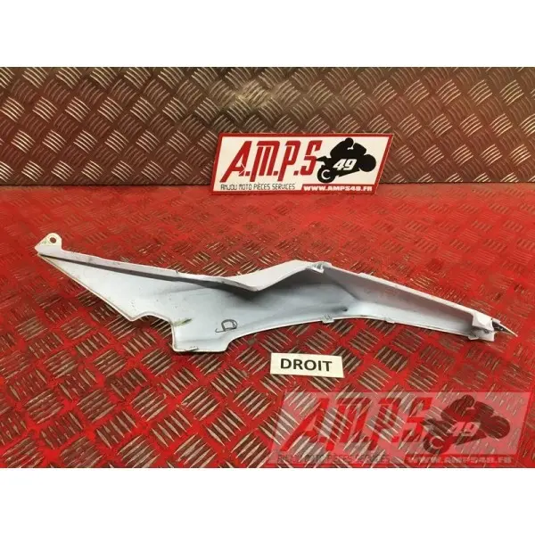 Coque arrière droiteZ65017EN-286-VGH0-D2369844used