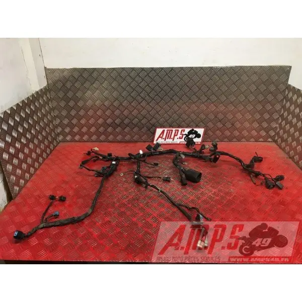 Faisceau électrique principaleZ65017EN-286-VGH0-D2369885used