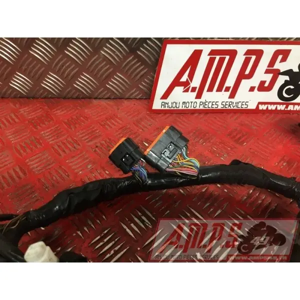 Faisceau électrique principaleZ65017EN-286-VGH0-D2369885used