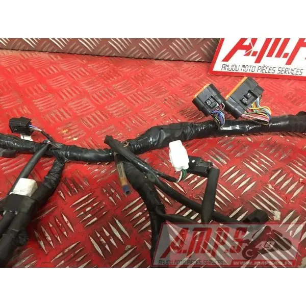 Faisceau électrique principaleZ65017EN-286-VGH0-D2369885used