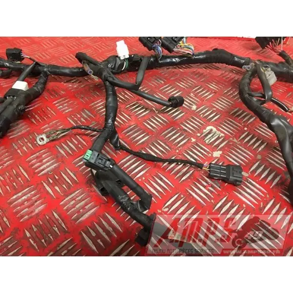 Faisceau électrique principaleZ65017EN-286-VGH0-D2369885used