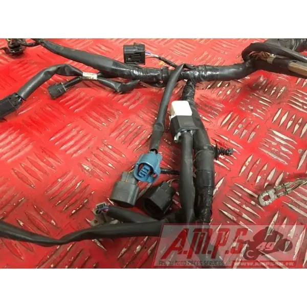 Faisceau électrique principaleZ65017EN-286-VGH0-D2369885used