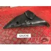 Cache plastique sur flanc gaucheR1004169TR79H0-D3370005used