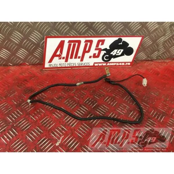 Cable de masseR1004169TR79H0-D3370039used