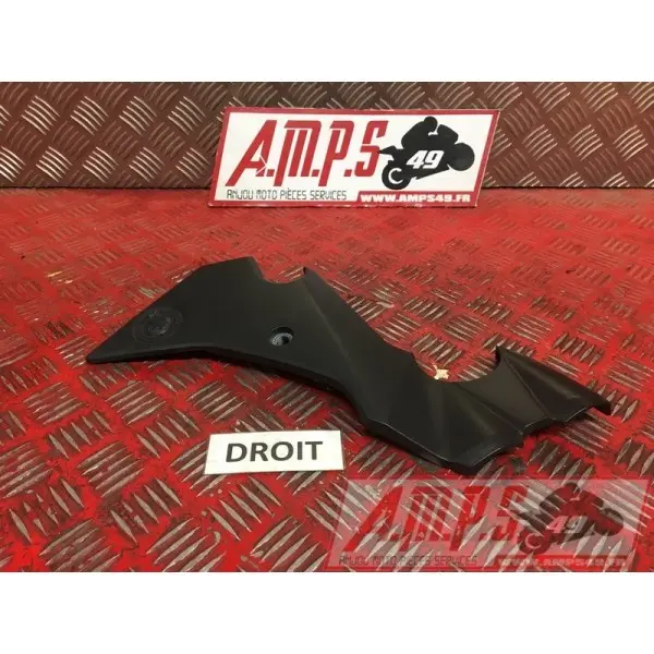 Cache plastique droitER6N15DY-045-EHH0-C0383095used