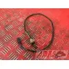 Sonde lambdaGSXR60006AL-209-YTH0-C4398761used