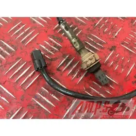 Sonde lambdaGSXR60006AL-209-YTH0-C4398761used