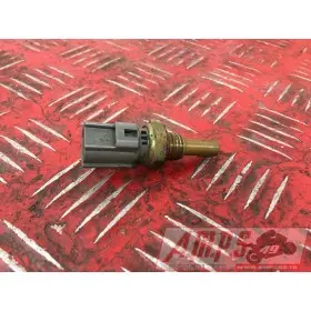 Sonde de températureGSXR60006AL-209-YTH0-C4398794used
