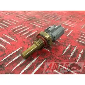 Sonde de températureGSXR60006AL-209-YTH0-C4398794used