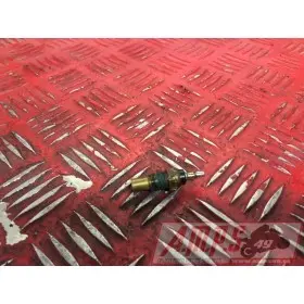 Sonde de températureR600AN-466-HVB0-D2398933used