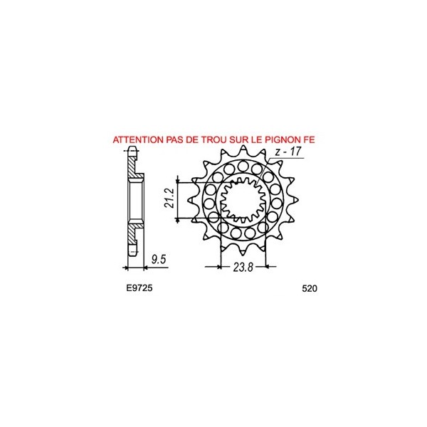 PIGNON PSB  RMZ.450 '05/09  15  520 