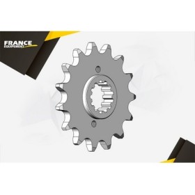 PIGNON PSB APRILIA 650.PEGASO'05/09 13 520