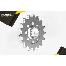 PIGNON PSB S.1000.RR '09/12 15 525