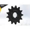 PIGNON BETA 250/350/450.RR '05/13 14 520