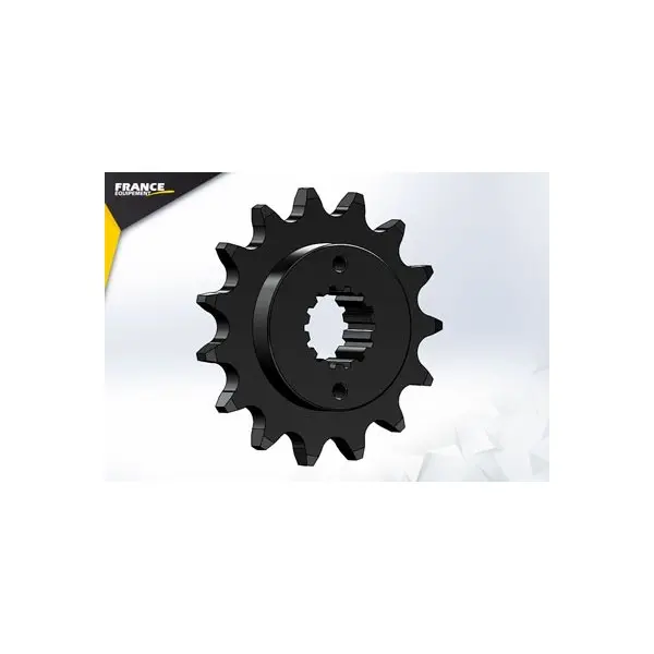 PIGNON PSB 1100.S Monster '09/13 16 525