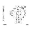 KIT CHAINE FE RG.250.GAMMA '86/87 14X39 RX/XW.SR