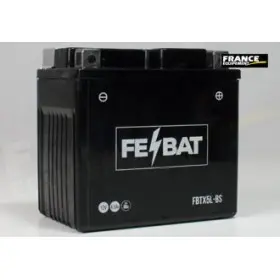 Batterie FE-BAT FBTX5L-BS (CBTX5L-BS / YTX5L-BS / YTX5LBS / BTX5L)