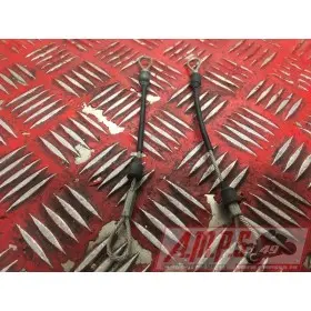 SangleZ100007BN-114-FVH0-B5447303used