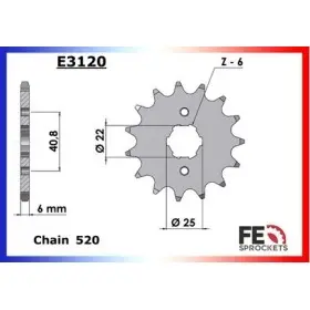 PIGNON PSB E-TON 250.VECTOR'05/06 17 520