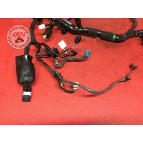 Faisceau électrique principaleZ80013CV-873-PDH9-C31339981used