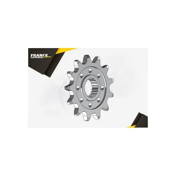 PIGNON PSB SHERCO.300.ENDURO 3.0 i-F'10/11 13 520