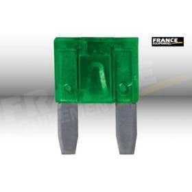 1 FUSIBLE STANDARD 30A (sachet de 10)