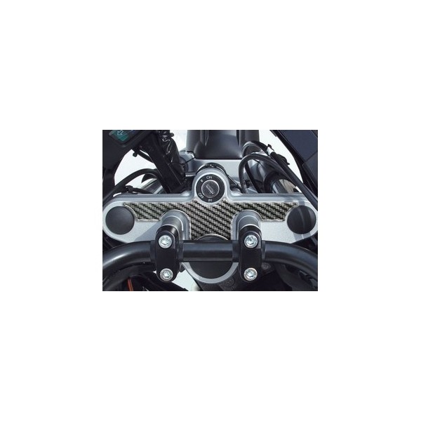  Protège T de fourche "Carbone" pour BMW-R 1100-1150 GS  