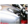  Protège T de fourche "Carbone" pour Ducati Monster (Réservoir creux)  
