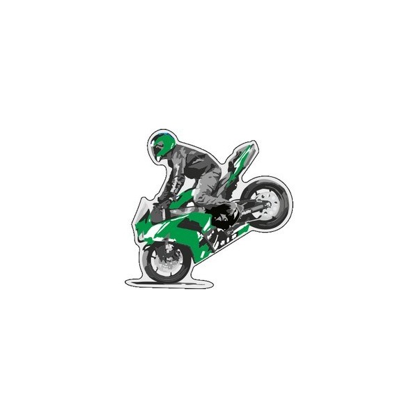  Label déco moto "MOTO Vert". 2 pièces.  