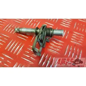 Moteur TL1000S 97 98 99 00 01 - Copie (31)