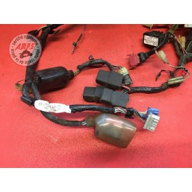 Faisceau électrique principale Honda CBR 954 RR Fireblade 2002 à 2003