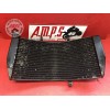 Radiateur d'eauCBR95402AH-650-BXTH3-A31348025used