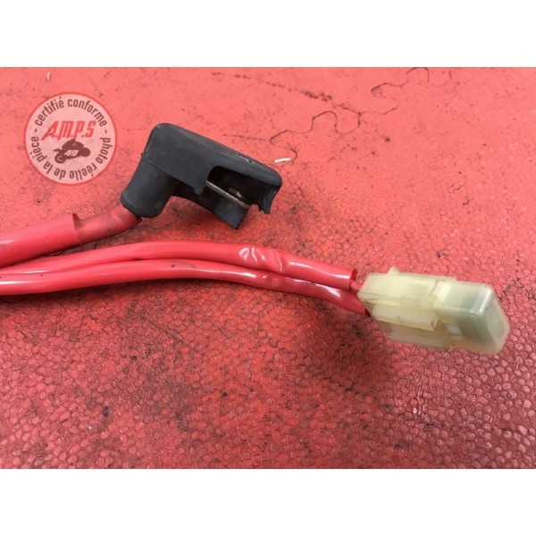 Cable de batterieXP50007AT-204-GJH0-Z31349847used