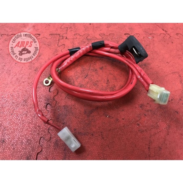 Cable de batterieXP50007AT-204-GJH0-Z31349847used