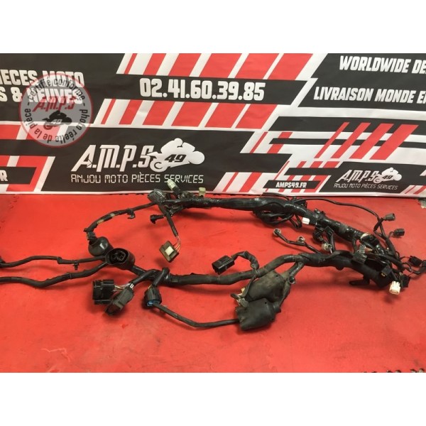 Faisceau électrique principaleZX6R19FH-141-FVTH2-A11351669used