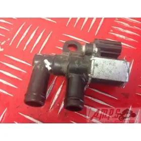 Duke III 08 09 10 11 - Copie (14)