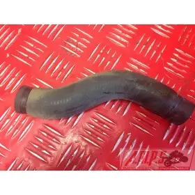 Duke III 08 09 10 11 - Copie (5)